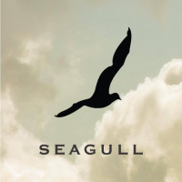seagull advertising