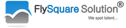 Fly Square Solution logo